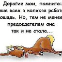 ���� �����, ��������� - ��������� 19 ��� 2015 � ������ ������ ��������