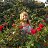 ���� Anna, ������, 38 ��� - ��������� 7 �������� 2015