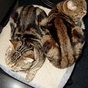   ))), , 57  -  17  2015    !