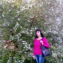 26.05.2015�.