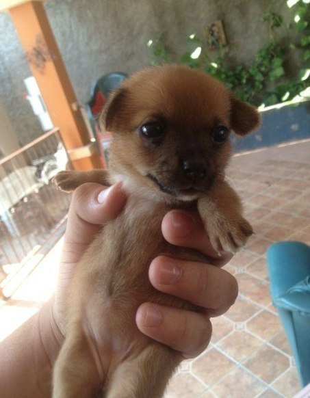 Как тут лайк не поставить?