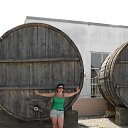 ���� ������, �������� - ��������� 24 ������� 2015 � ������ ���� ����������