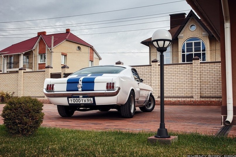 Ford Mustang Shelby GT350 - 2