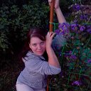 ���� ����, �������� - ��������� 29 ���� 2015