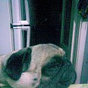 ���� ����, ���������, 60 ��� - ��������� 28 ���� 2015 � ������ ���� ����������