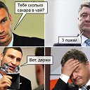 ���� �������, �������������-����������, 45 ��� - ��������� 6 ���� 2015 � ������ ������ ��������