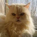 ���� ��������, �������, 55 ��� - ��������� 26 ���� 2015 � ������ ������� ���..�