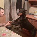 ���� ������, ������������, 36 ��� - ��������� 14 ���� 2015 � ������ ���� ����������