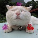 ���� ����, ������, 24 ���� - ��������� 19 ��� 2015 � ������ ���� ����������