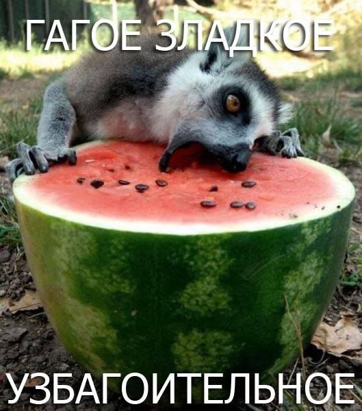    :D - 10  2015  07:44