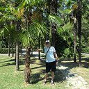 ���� ���������, ������ ��������, 44 ���� - ��������� 17 �������� 2015 � ������ ���� ����������