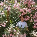 ���� ��������, �������, 63 ���� - ��������� 2 ���� 2015