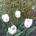 ���� ���������, ����� - ��������� 10 ��� 2015 � ������ ���� ��������� ������