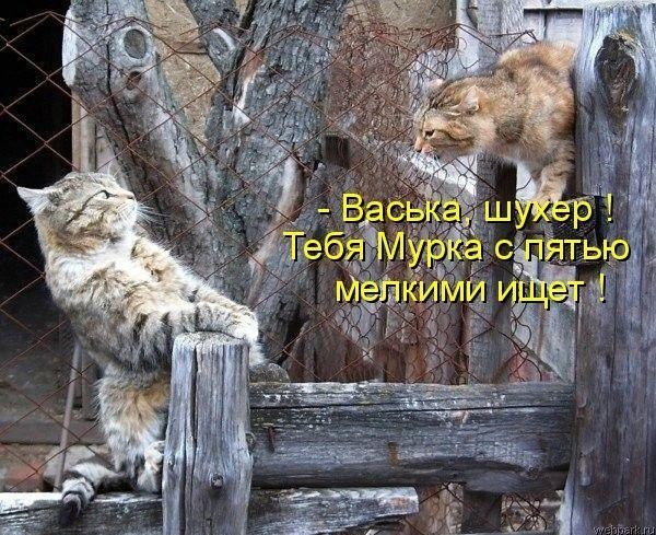  - 5  2015  23:01