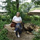 ���� ���������, ���� - ��������� 8 ��� 2015 � ������ ���� ����������