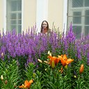 ���� ������, �����-���������, 40 ��� - ��������� 27 ���� 2015 � ������ ���� ����������