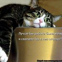 ���� Wladimir, ������-��-����, 68 ��� - ��������� 4 �������� 2015 � ������ ������ ��������
