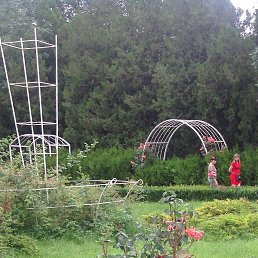 Tatyana, �����������, 74 ����