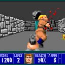 Wolfenstein 3D �� ������� �DOOM � Wolfenstein 3D�