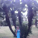 ���� �����4��, ����� - ��������� 5 ���� 2015