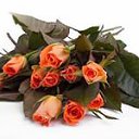 ���� �����, ������ ��� - ��������� 15 ��� 2015 � ������ �����ۻ