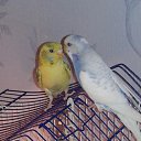 ���� ���, ����� - ��������� 20 ���� 2015 � ������ ���� ����� � �����������!�