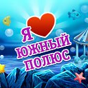 ���� �����, ������ - ��������� 31 ������� 2015 � ������ ��������� �����