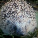 ���� ������, ������, 46 ��� - ��������� 21 ���� 2015 � ������ ���������