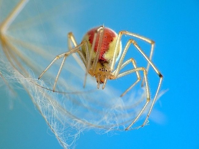   ,          . ... - 4