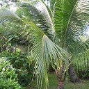    -  ,  -  23  2015    2014.  Peace.  11-.