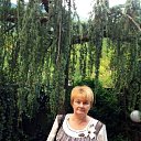 ���� ����, ����� - ��������� 26 ��� 2015 � ������ ���� ����������