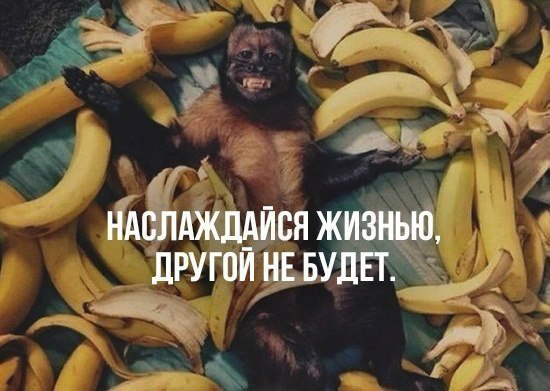 LIFE -  - 25  2015  20:59