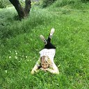 ���� ���������, ���������, 28 ��� - ��������� 22 ���� 2015