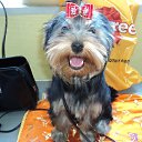  1 !!!    &quot;8 &quot;