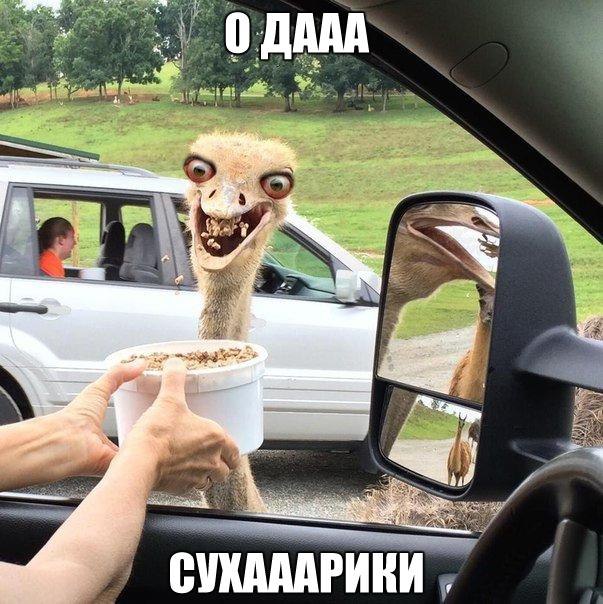    :D - 11  2015  15:45