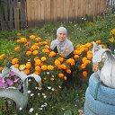 ���� �����, �����, 46 ��� - ��������� 27 ��� 2015 � ������ ���� ����������