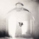 ���� Lana, ������, 65 ��� - ��������� 13 ���� 2015 � ������ ���� ����������