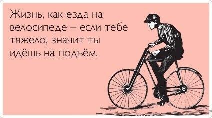 IQ Blog: , , ,  - 15  2015  02:06