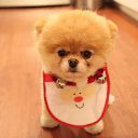 ���� ���� � ��� ���� ����, ������, 39 ��� - ��������� 29 ��� 2015 � ������ ���� ����������