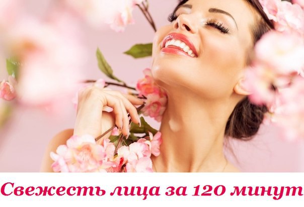 ������ ������ - �������� ���� �� 120 �����.120 �����. �� ������� ����, ������ ���������� ������ ...
