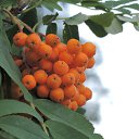 ���� ����, ��� - ��������� 27 ���� 2015 � ������ ���� ����������