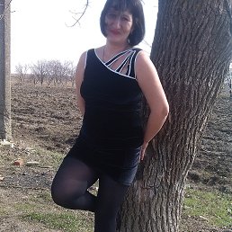 ���� �������, ��������-��-������, 49 ��� - ��������� 8 ��� 2015