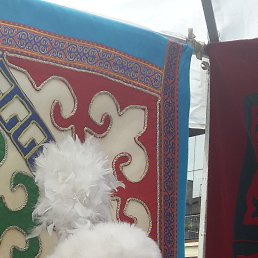 ��������, ������, 65 ���