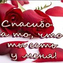 ���� �������, �������������-����������, 62 ���� - ��������� 8 �������� 2015 � ������ �������� ��������