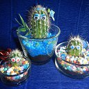 ���� �������� ����������, ���, 64 ���� - ��������� 14 ���� 2015 � ������ ���� �������