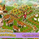 �������� �� ������� ������������ ����-�������� �����������