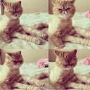 ���� ~&hearts;�&Auml;&uacute;&sigmaf;&hearts;~, ���� - ��������� 24 ��� 2015 � ������ ������ ��������