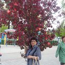 ���� ������, ������ - ��������� 25 ��� 2015 � ������ ���� ���λ