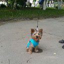 ��� �������)))) �� ������� ���� ����������