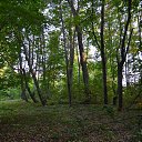 ���������� ������������� �������� ��� ��� ���!! �� ������� ���� ����������